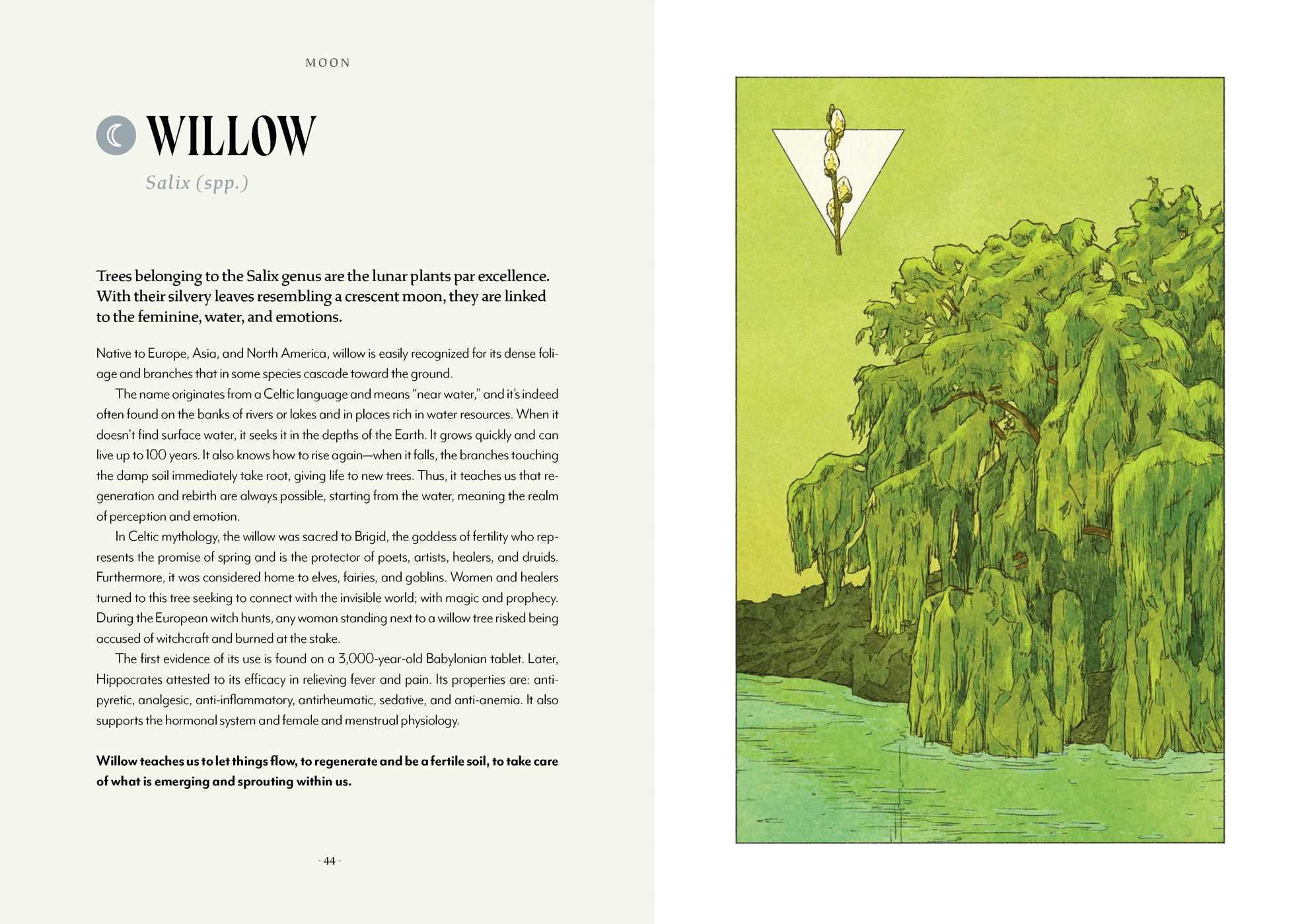 Gallery preview