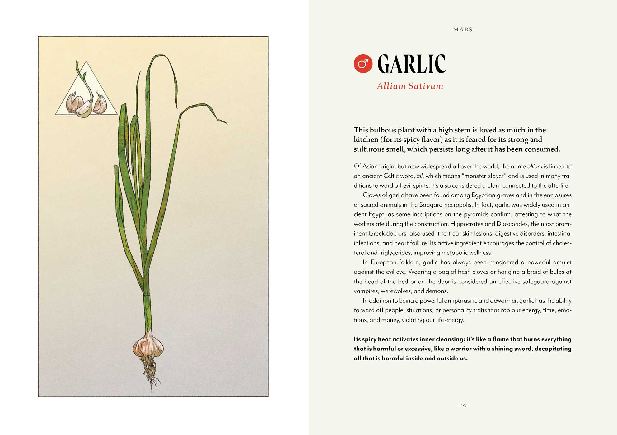 Gallery preview