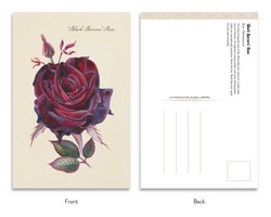 Gallery preview