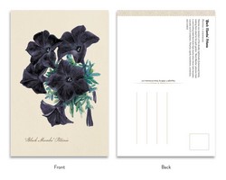 Gallery preview