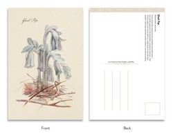 Gallery preview