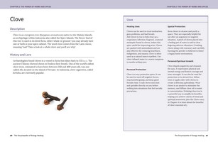 Gallery preview