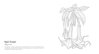 Gallery preview