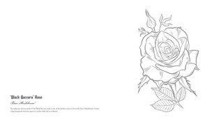 Gallery preview