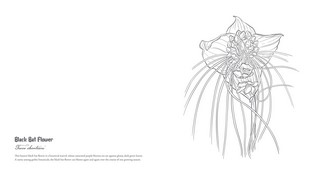 Gallery preview