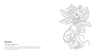 Gallery preview