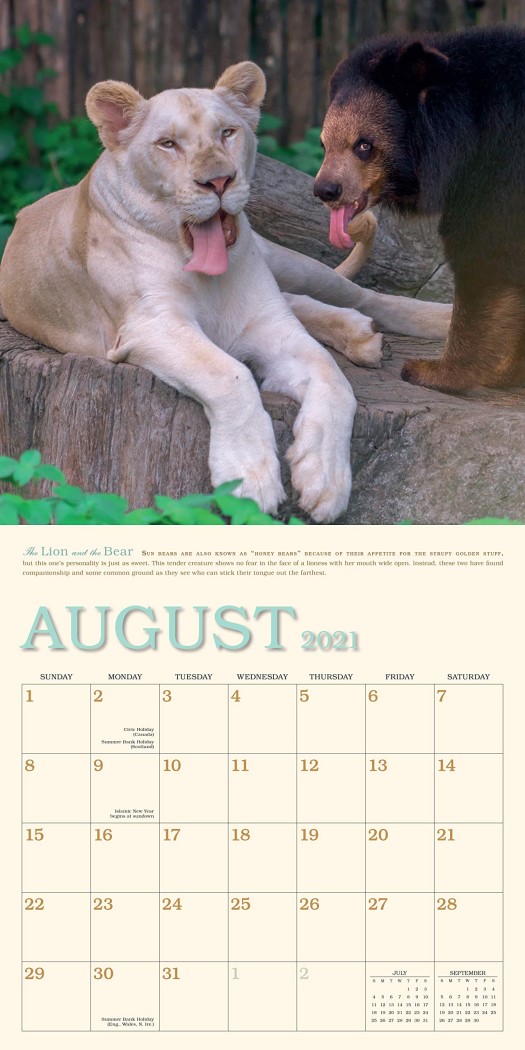Unlikely Friendships 2021 Wall Calendar by Jennifer S Holland