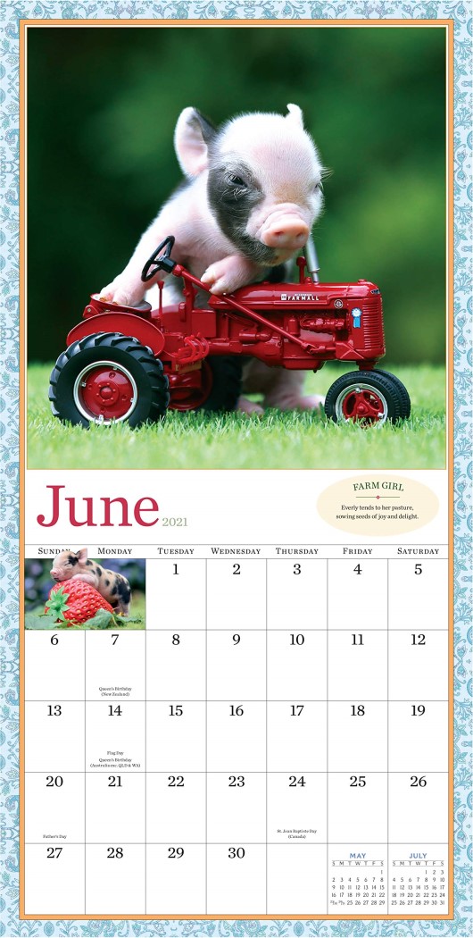 The Original Pocket Pigs 2021 Wall Calendar by Richard Austin