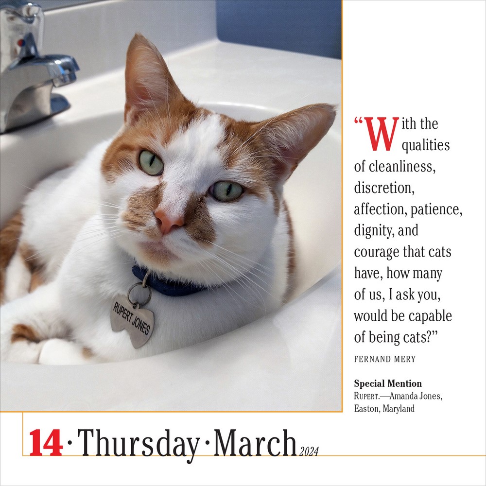 365 Cats - Page-A-Day Daily Desk Calendar 2024, The World's Favorite ...