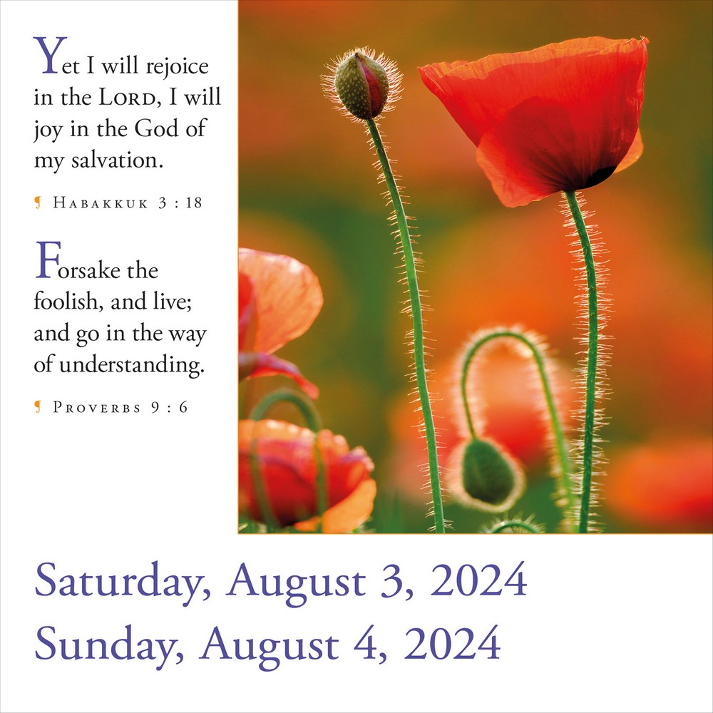 365 Bible Verses-A-Year for 2024 Page-A-Day Desk Calendar, Timeless ...