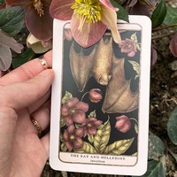 Gallery preview