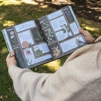 Gallery preview