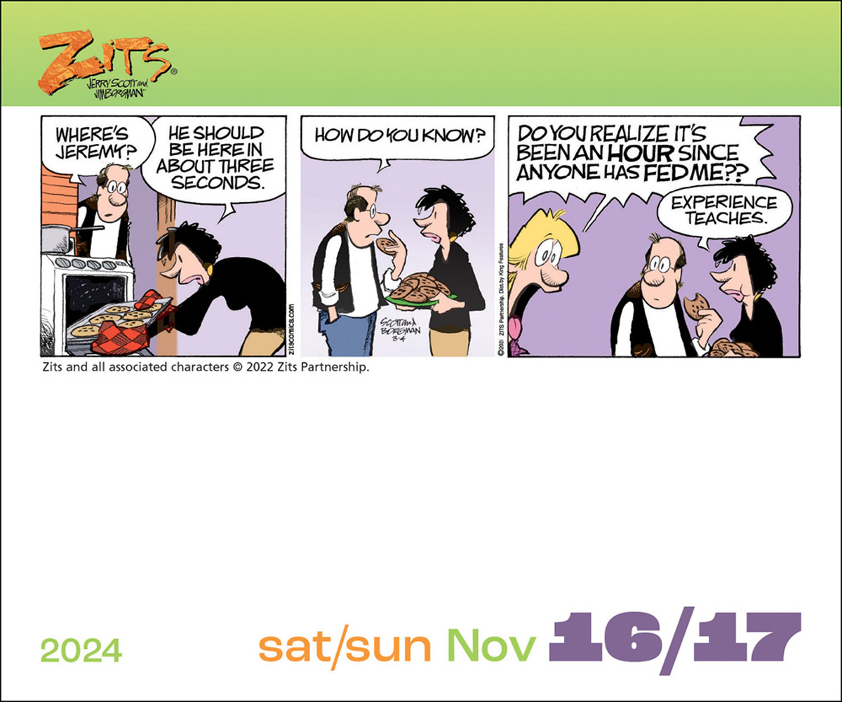 Zits 2024 DaytoDay Calendar by Jerry Scott 9781524879860 Booktopia