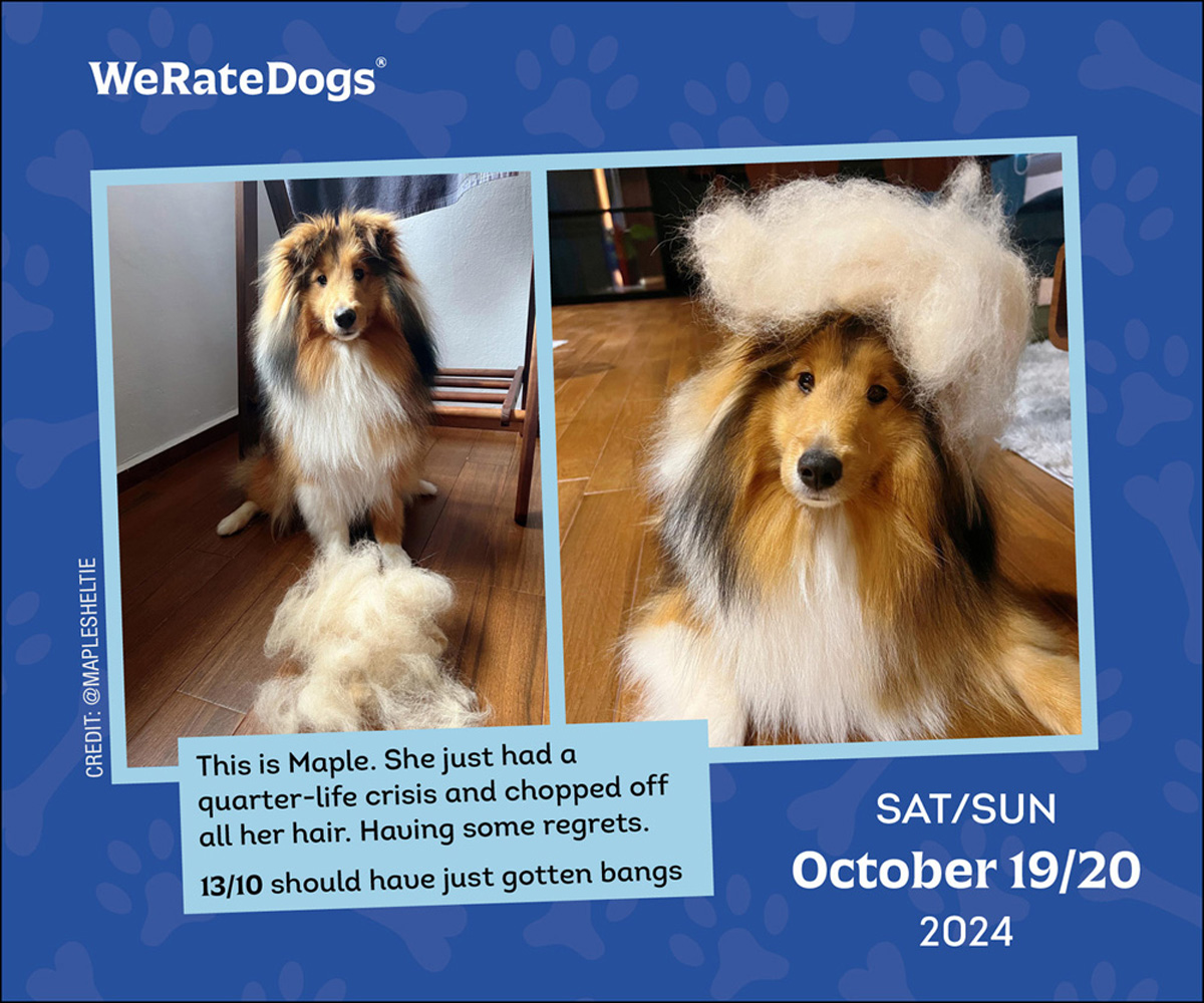 WeRateDogs - 2024 Daily Desk Calendar by Andrews McMeel Publishing WeRateDogs - 2024 Daily Desk Calendar by Andrews McMeel Publishing