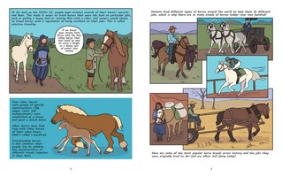 Gallery preview