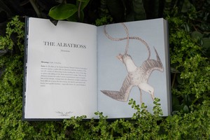 Gallery preview