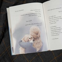 Gallery preview
