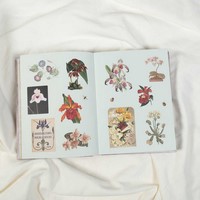 Gallery preview