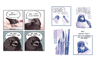 Gallery preview