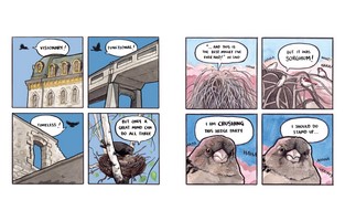 Gallery preview