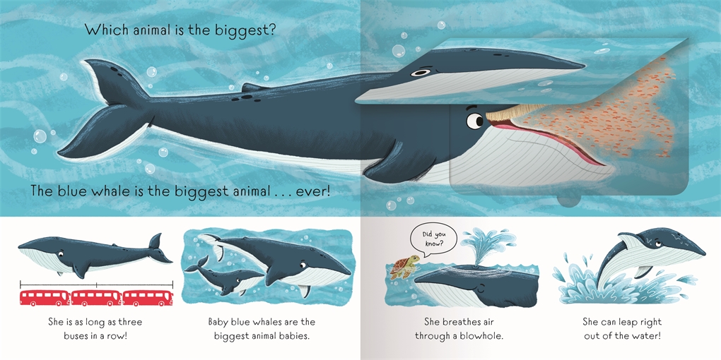 Find Out About: Animals, A Lift-the-flap Book Of Animals by Pat-a-Cake ...
