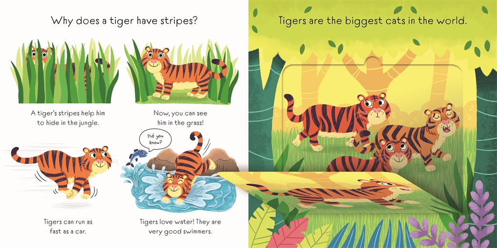 Find Out About: Animals, A Lift-the-flap Book Of Animals by Pat-a-Cake ...