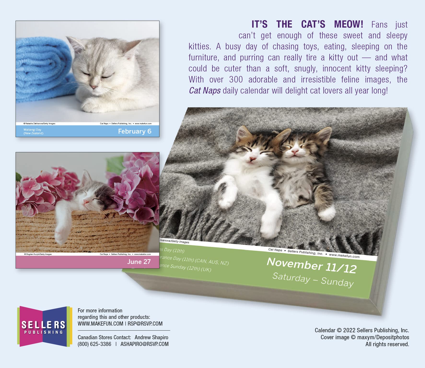 Cat Naps 2023 Daily Desk Calendar by Sellers Publishing