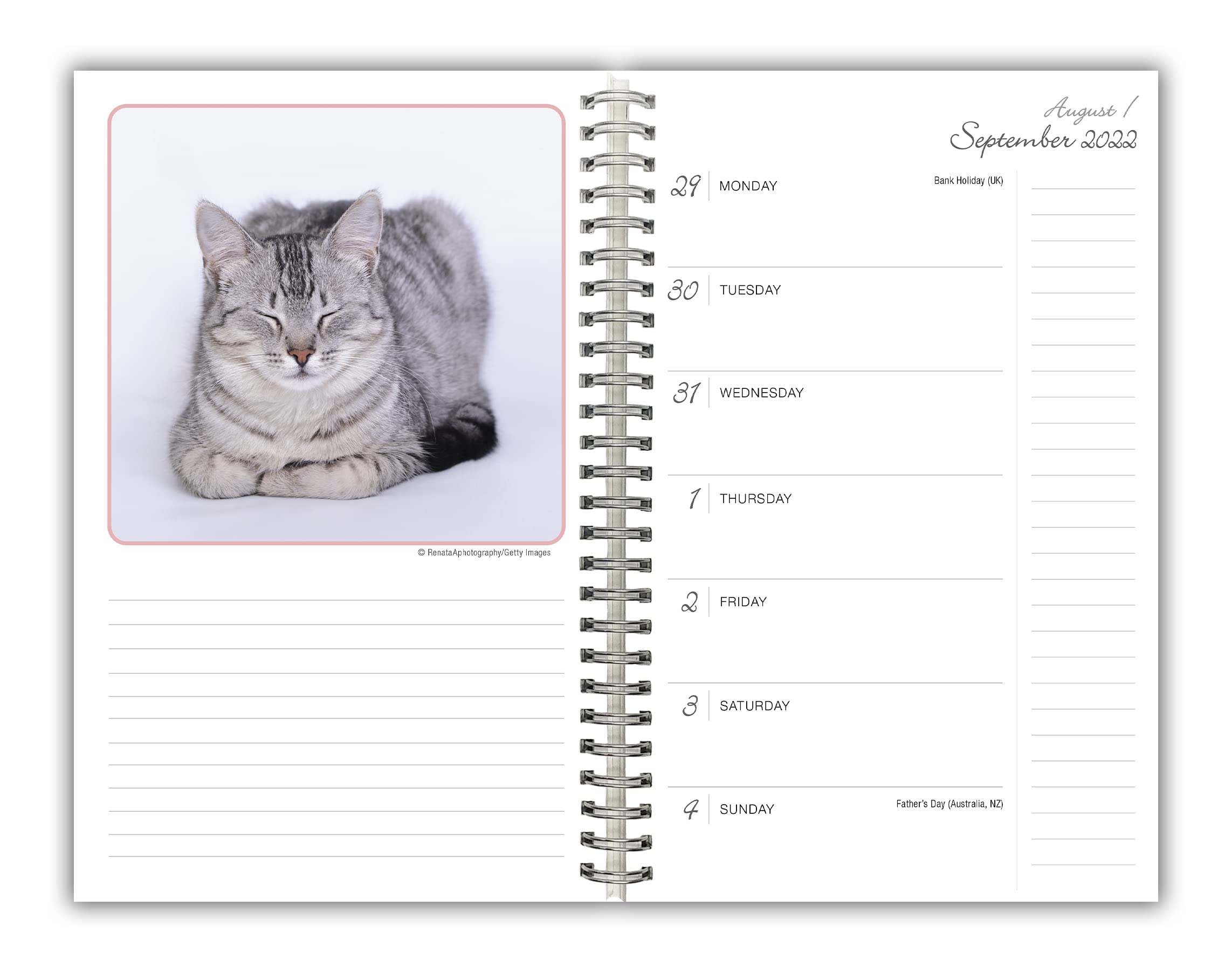 Cat Naps 2023 16Month Weekly Planner, September 2022 December 2023