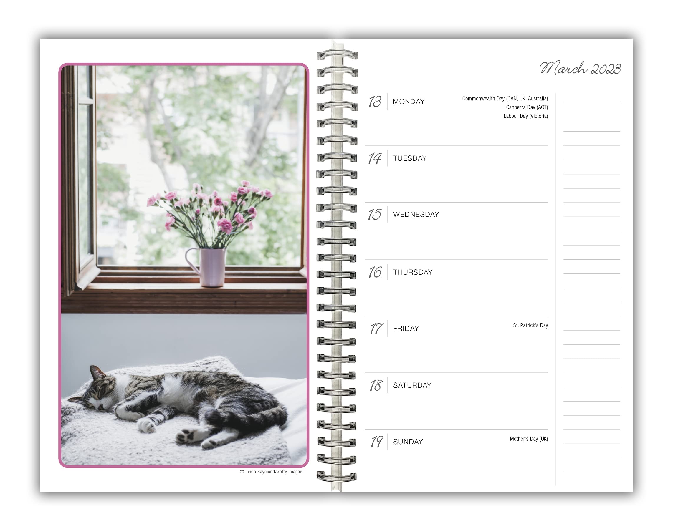 Cat Naps 2023 16Month Weekly Planner, September 2022 December 2023