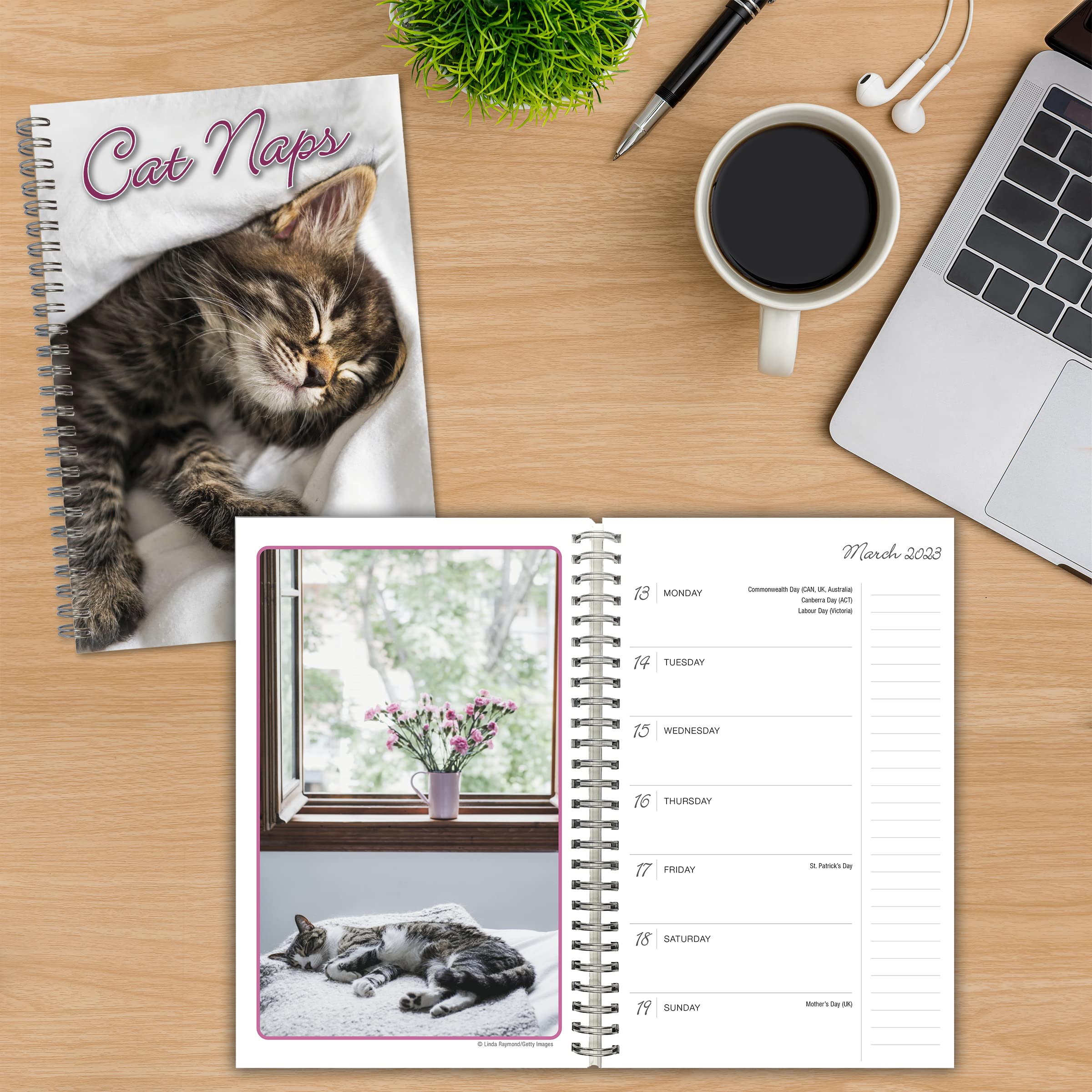 Cat Naps 2023 16Month Weekly Planner, September 2022 December 2023