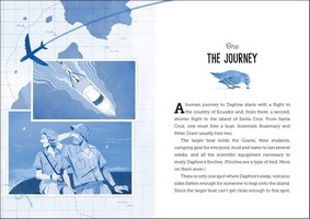 Gallery preview