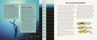 Gallery preview