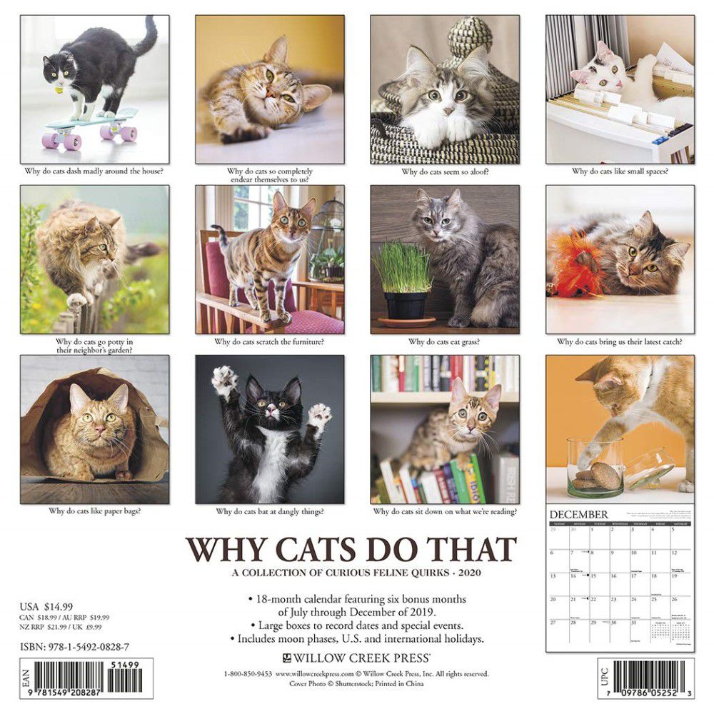Why Cats Do That 2020 Wall Calendar, A Collection Of Curious Feline