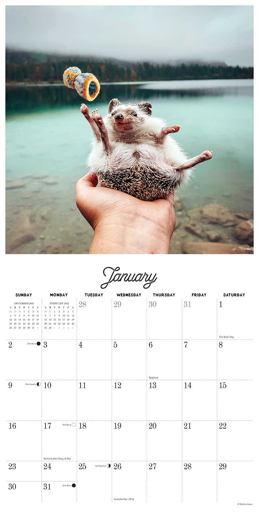 Herbee the Hedgehog 2022 Wall Calendar by Talitha Girnus
