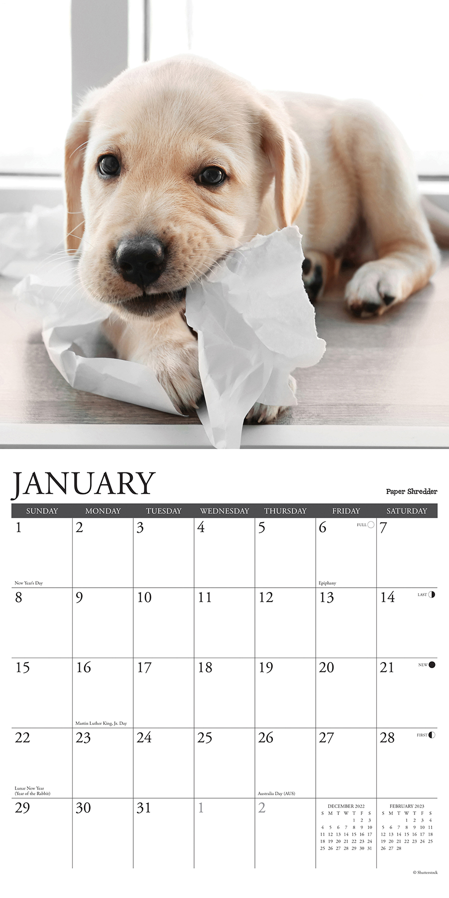 Lab Wall Calendars 12 Uses for a Lab - 2023 Wall Calendar by Willow Creek Press ...