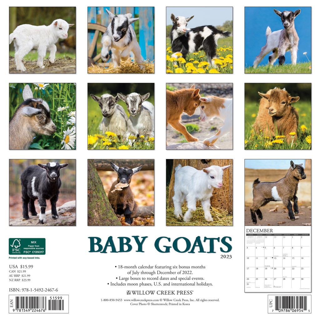 Baby Goats 2023 Wall Calendar by Willow Creek Press 9781549224676