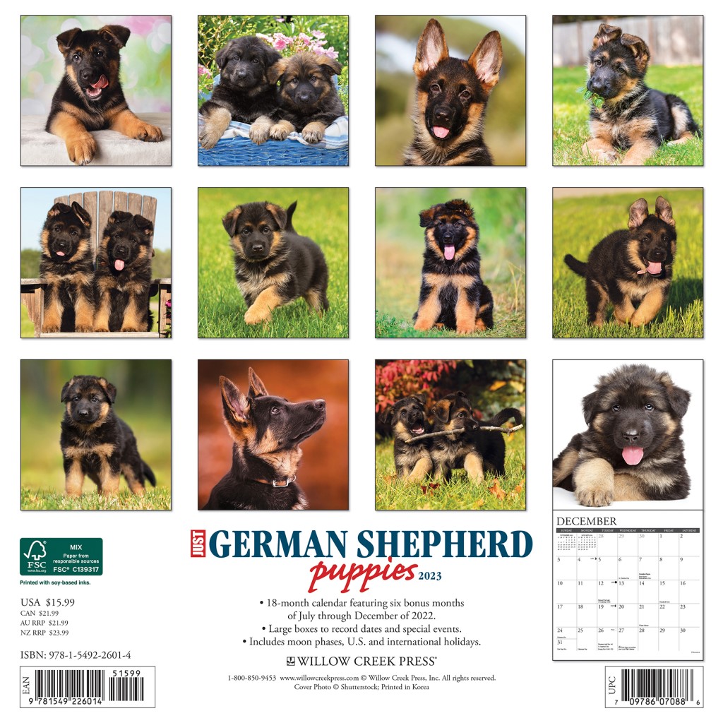 Just German Shepherd Puppies 2023 Wall Calendar by Willow Creek Press