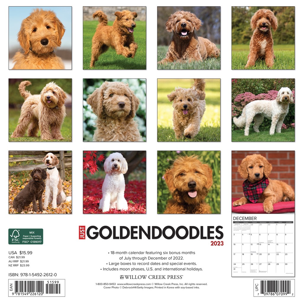 Just Goldendoodles 2023 Wall Calendar by Willow Creek Press