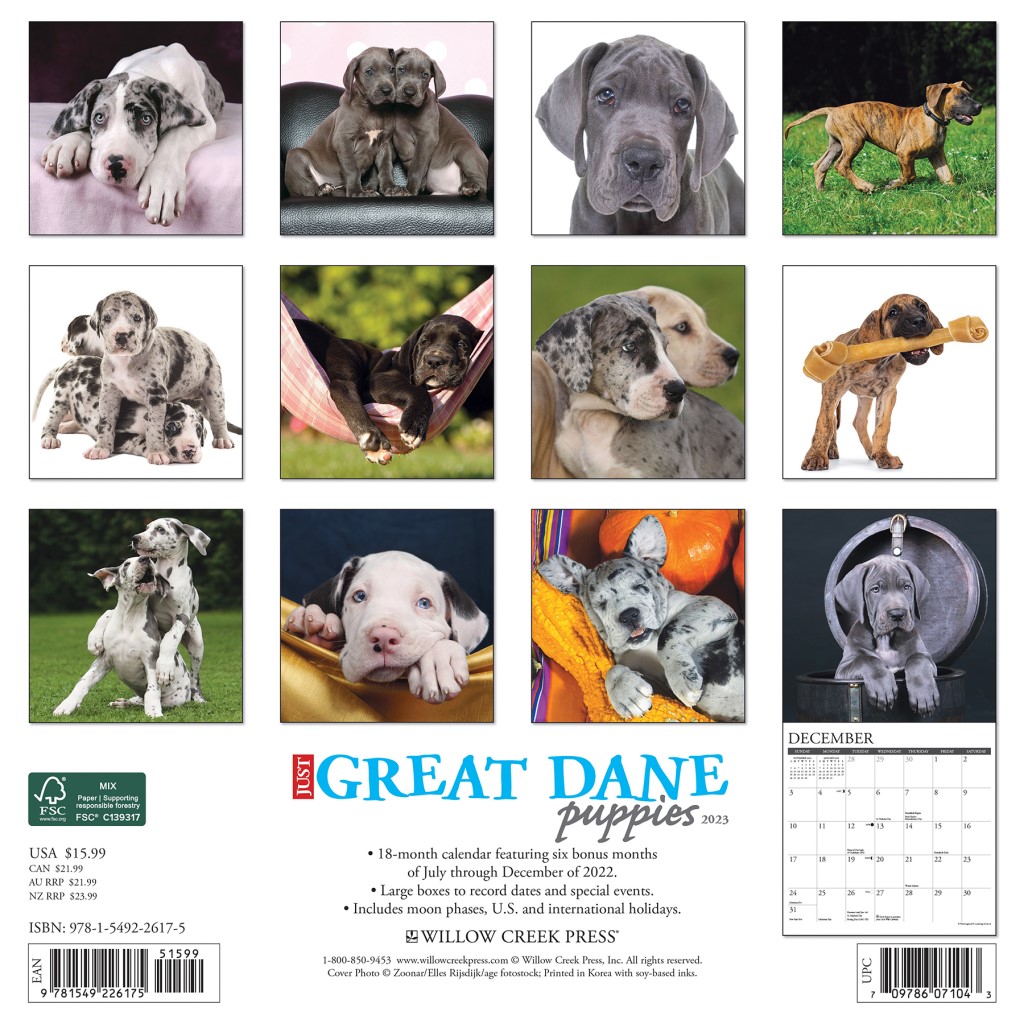 Just Great Dane Puppies 2023 Wall Calendar by Willow Creek Press