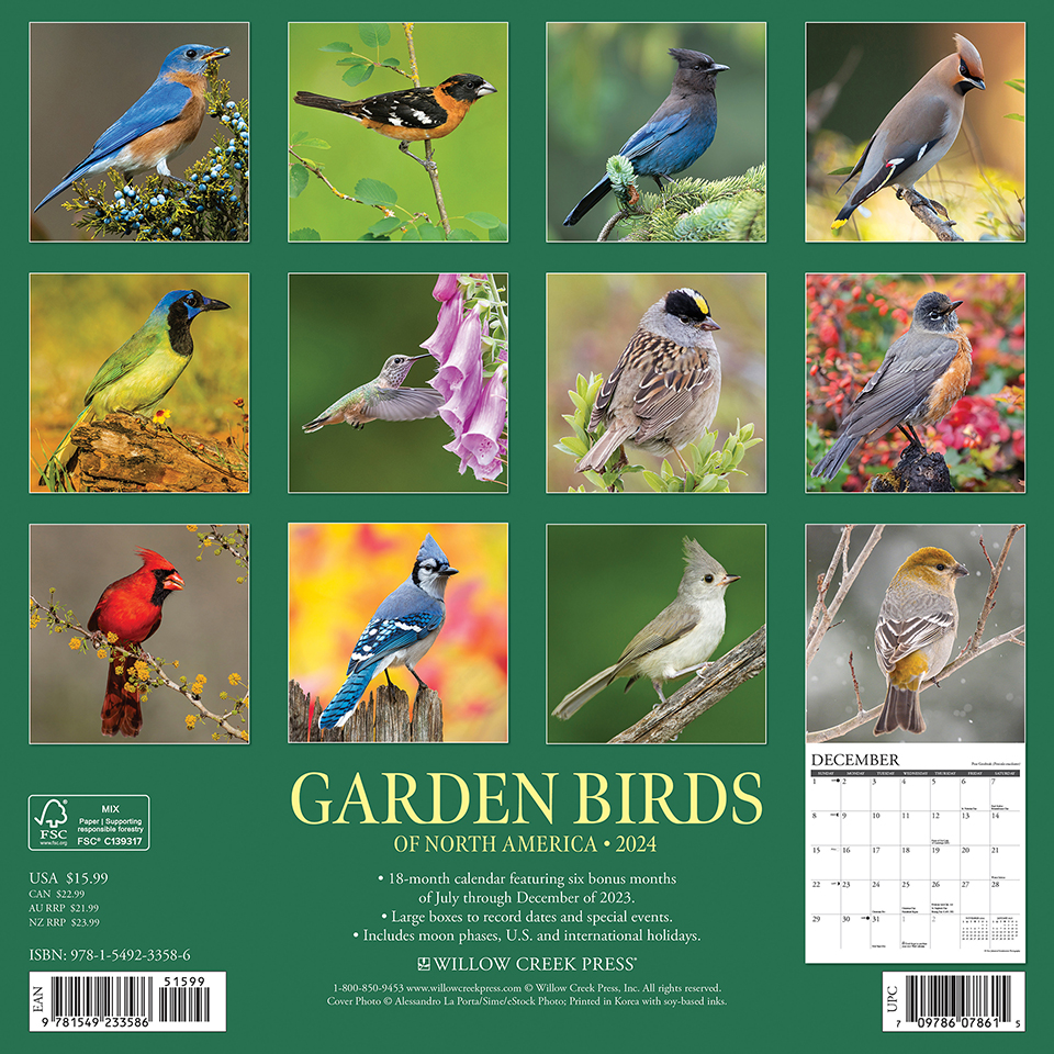 Garden Birds - 2024 Wall Calendar by Willow Creek Press | 9781549233586 ...