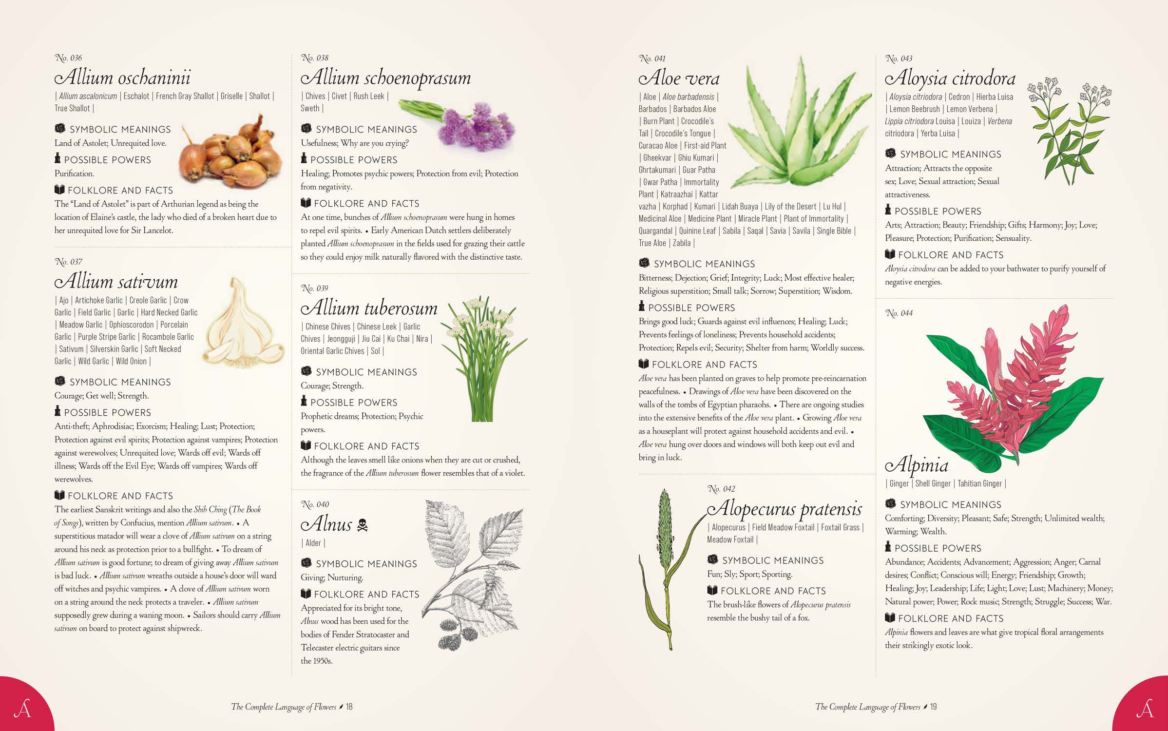 The Complete Language of Flowers (Gift Edition), A Definitive and