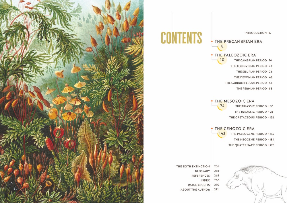 Epic Earth by Lindsay Nikole | A Wild Ride through the History of