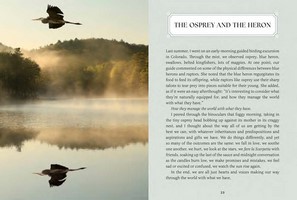 Gallery preview