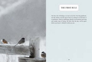 Gallery preview