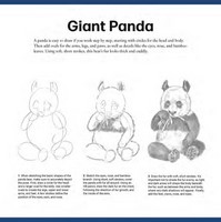 Gallery preview