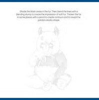 Gallery preview