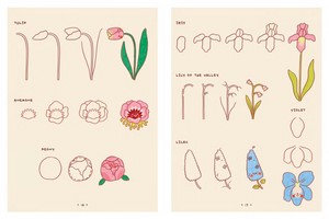Gallery preview