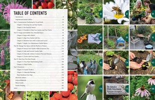Gallery preview