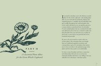 Gallery preview
