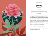 Gallery preview